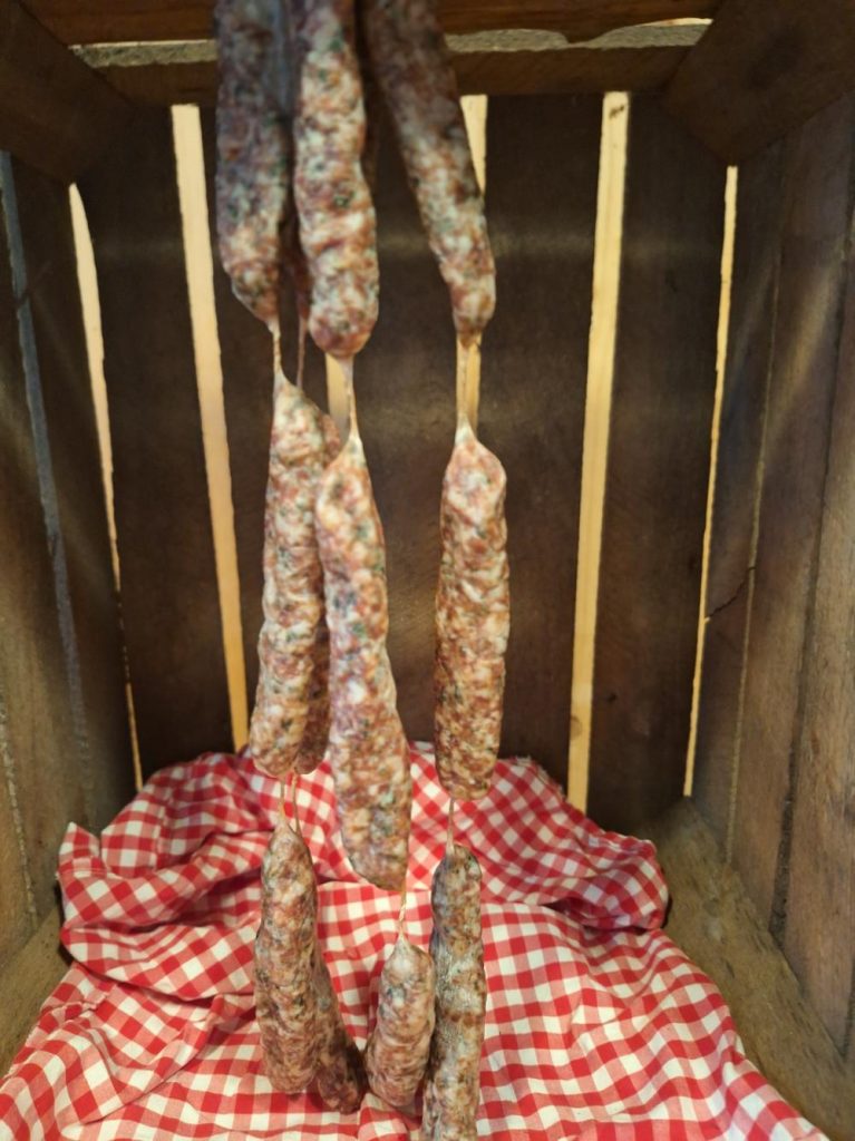 zeesaucissen
